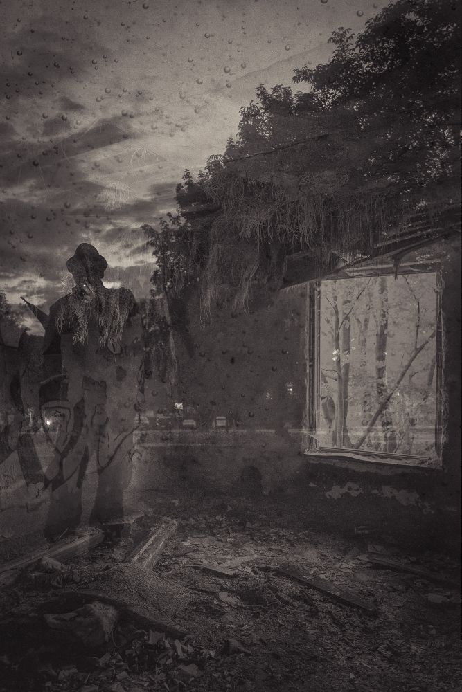 Spore Noir