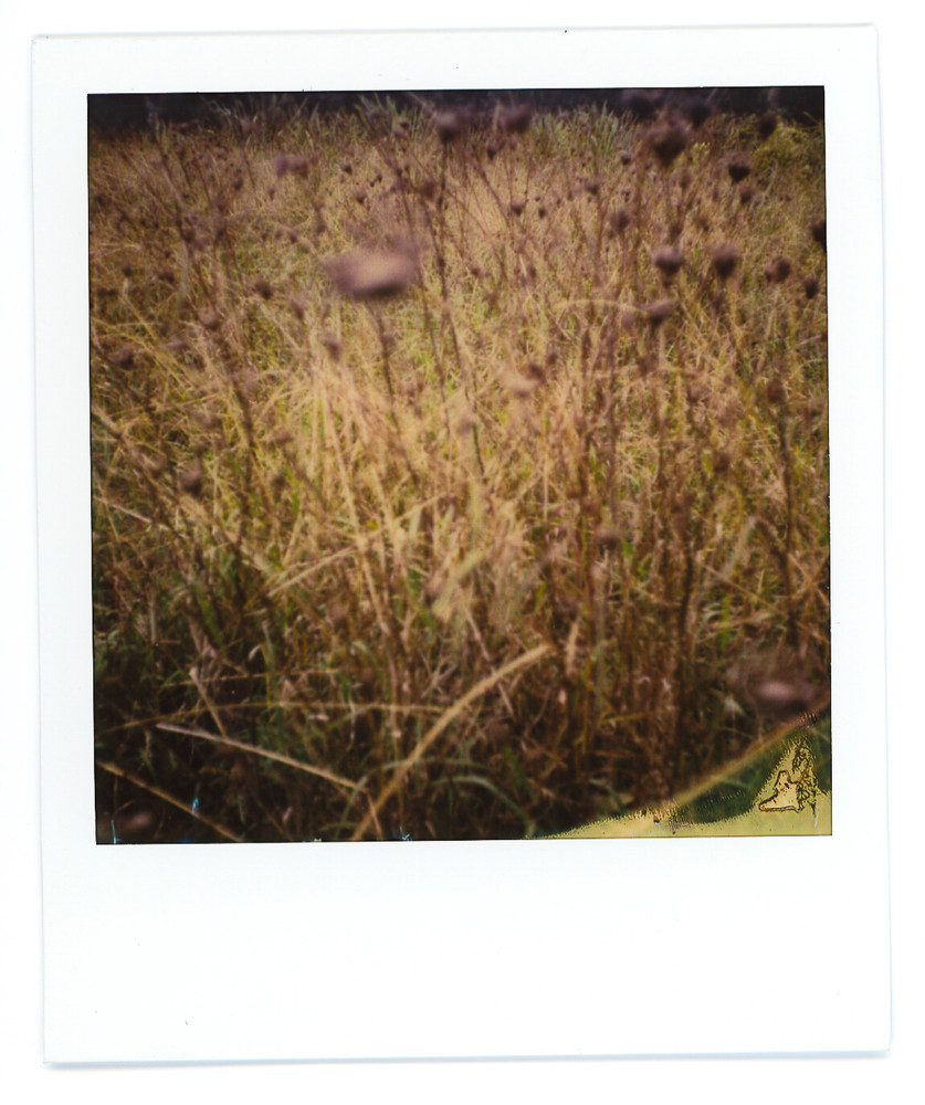 Terrain - (Wakaaranga Creek)
