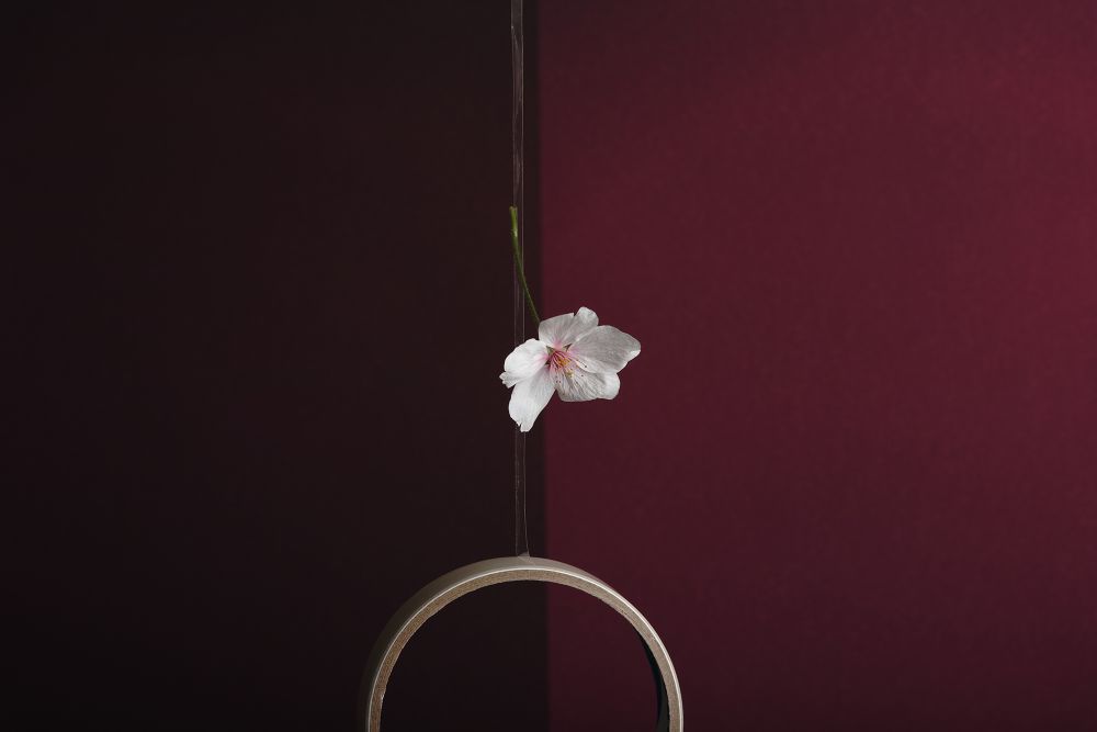 Etude