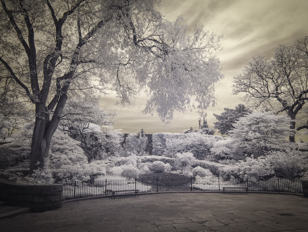 Infrared