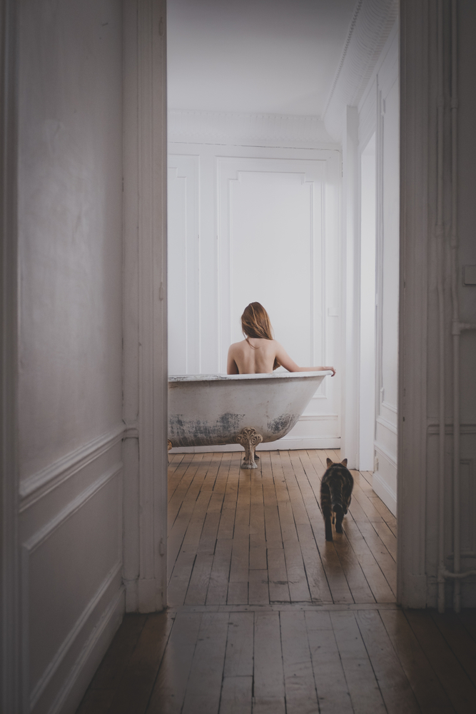 Voyage vers la douceur 