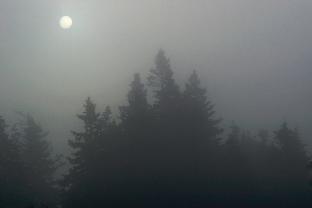Fog - Obscuring and Illuminating