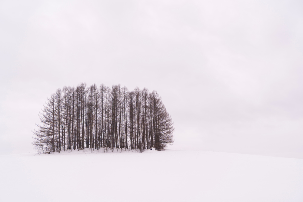 Winter Horizon in the Vicinity