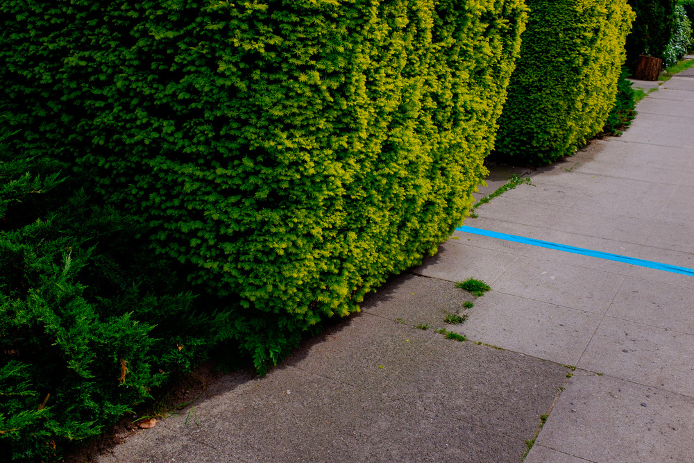 (the significance of) Urban Geometry