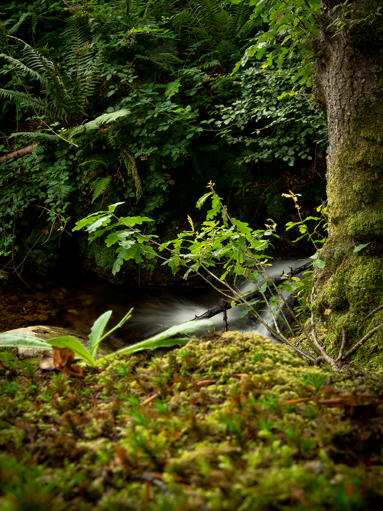 The hidden beauty of Slieve Gullion