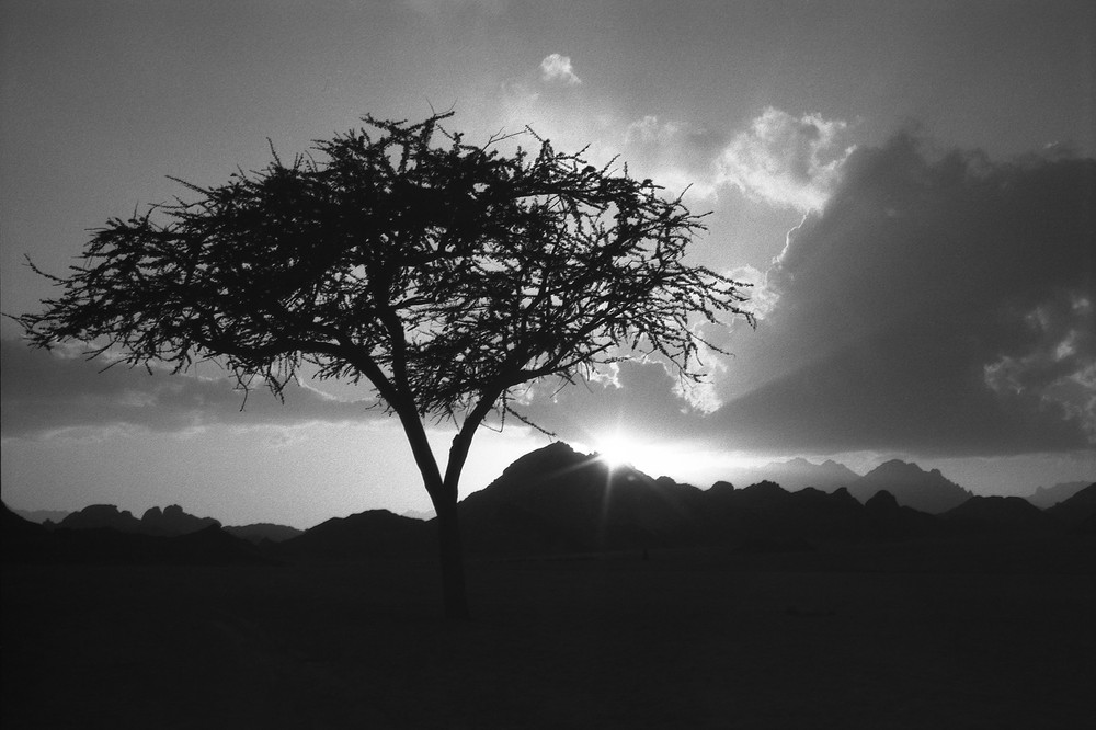 The Raw Beauty of SInai
