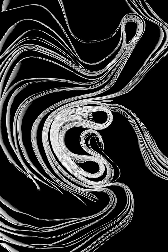 Paper Procreation