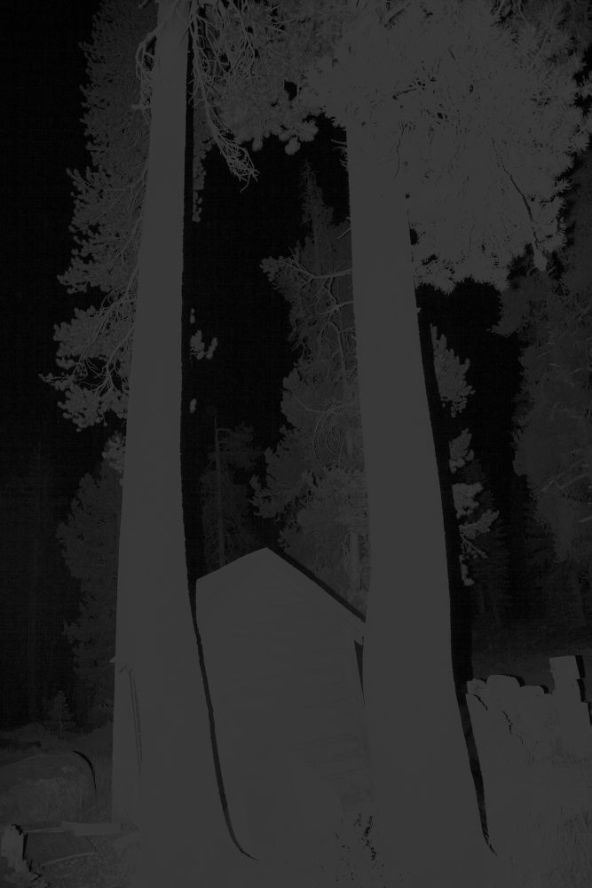 Dark Light