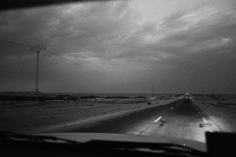 What the desert dreams