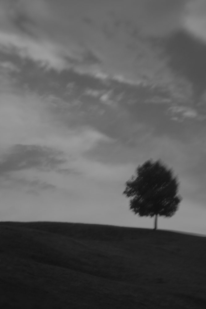 A different world