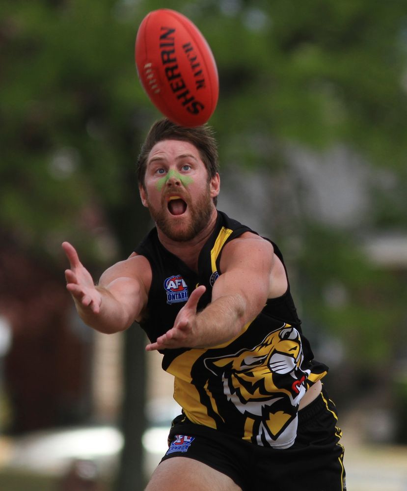 Hamilton Wildcats AFL club
