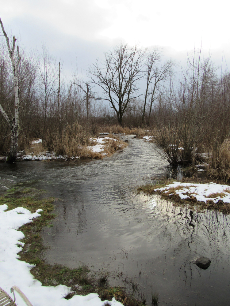 Wayne Brown Submission LensCulture