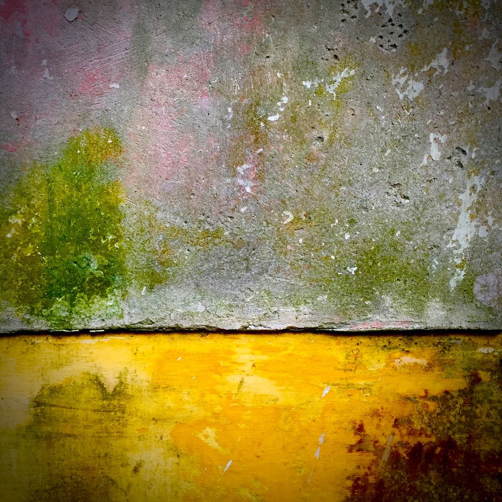 Walls