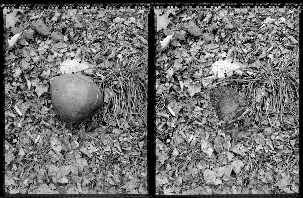 Re / Exposing to light (1998)
