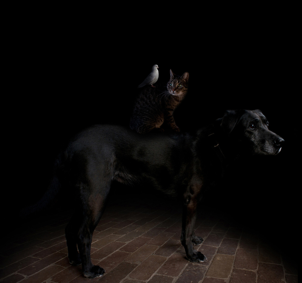 Circus 2