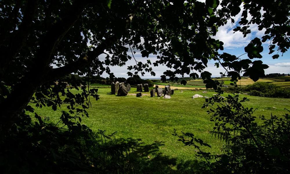Wilded Eire
