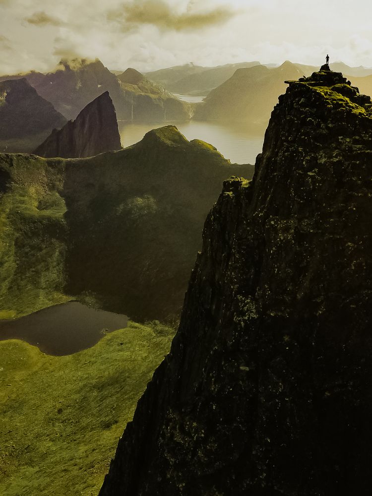 The Guardian of The Mountain Jungle