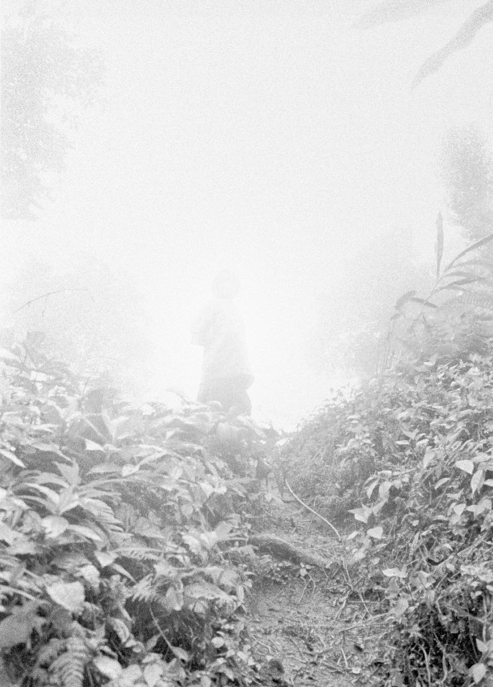 Mist