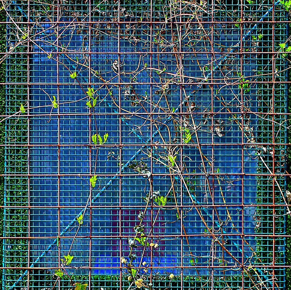 Squ'Art - series