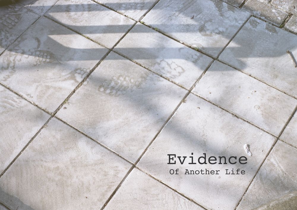 Evidence of Another Life (2016)