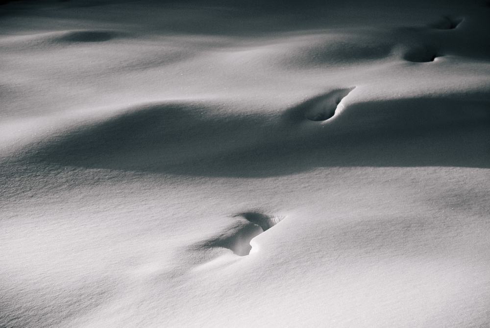 Creamer's Field: Wind and Snow