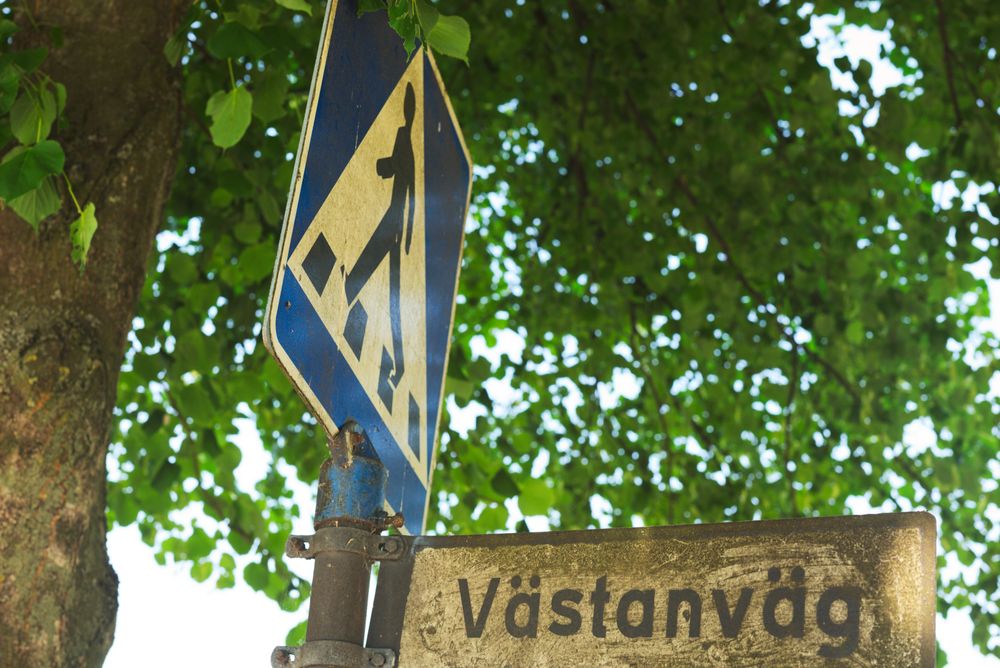 A bus stop and a tree lined road