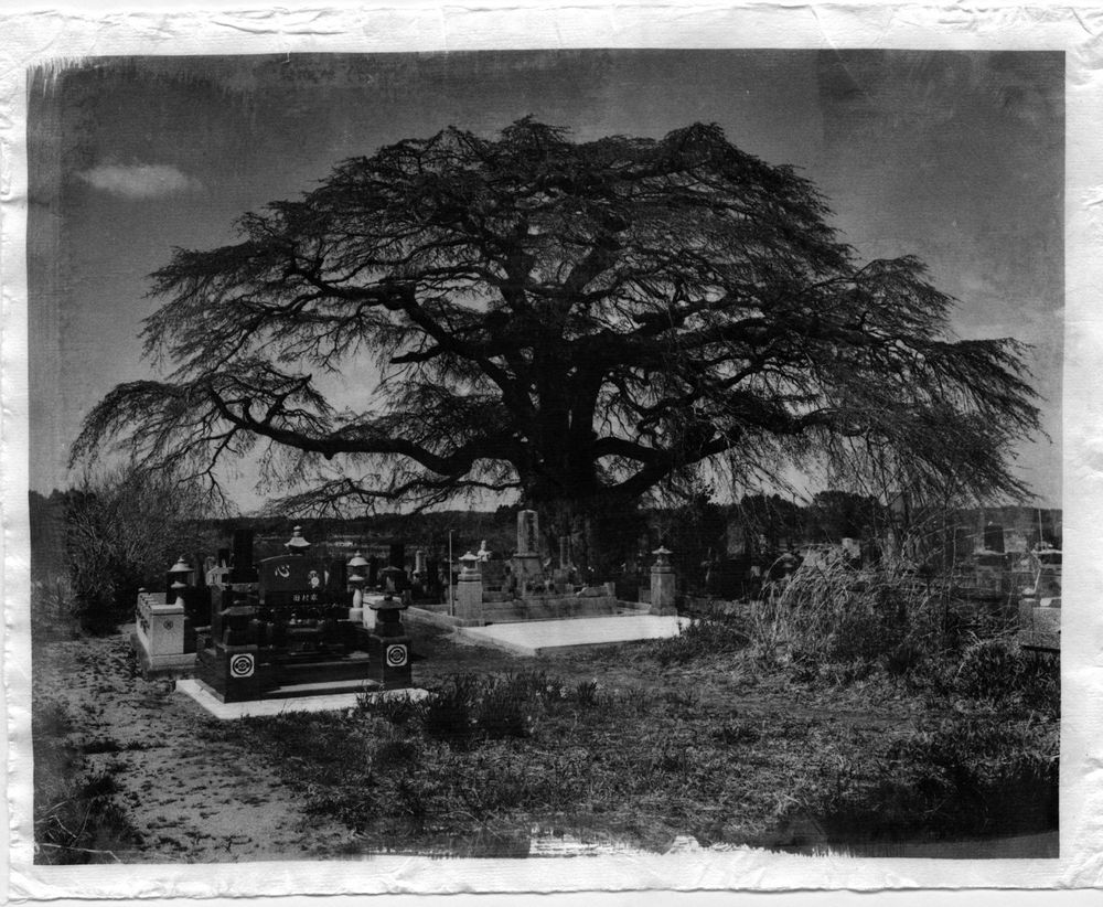 In Silence And In Sorrow Photographs By Uma Kinoshita LensCulture