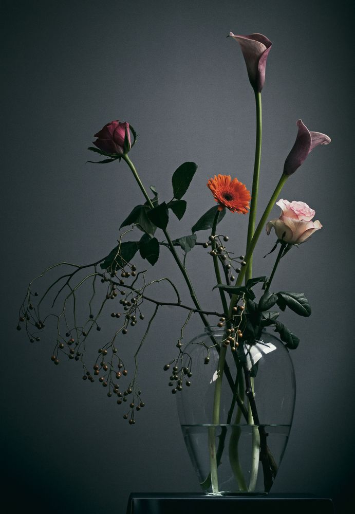 Wallflowers