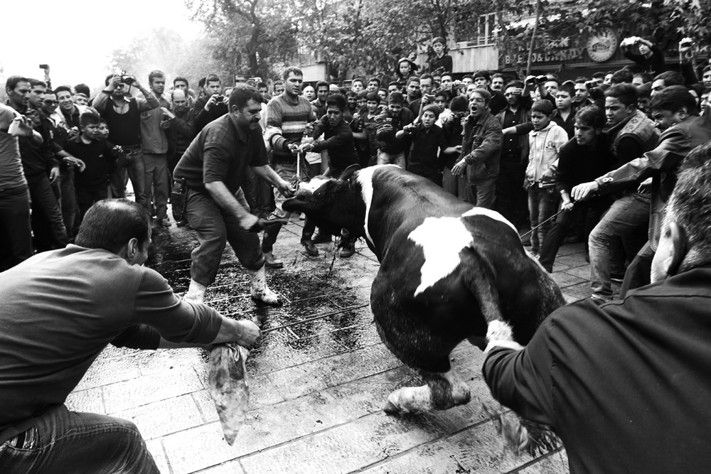 Mourning of Muharram 