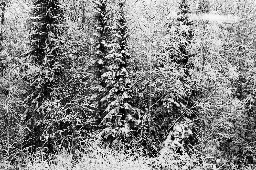 The Way Home, Russia