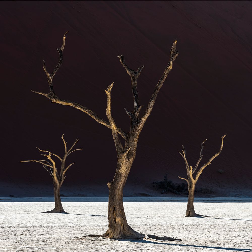 Deadvlei: 3 Trees