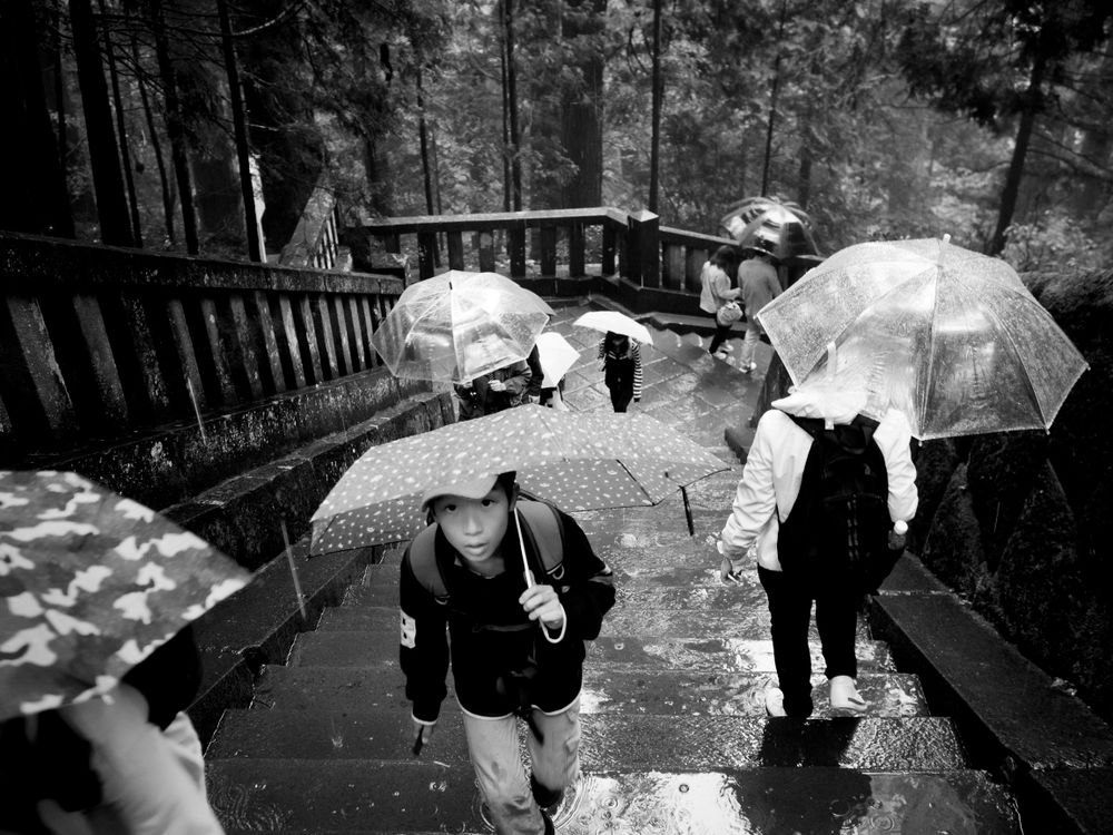A Japanese Tale