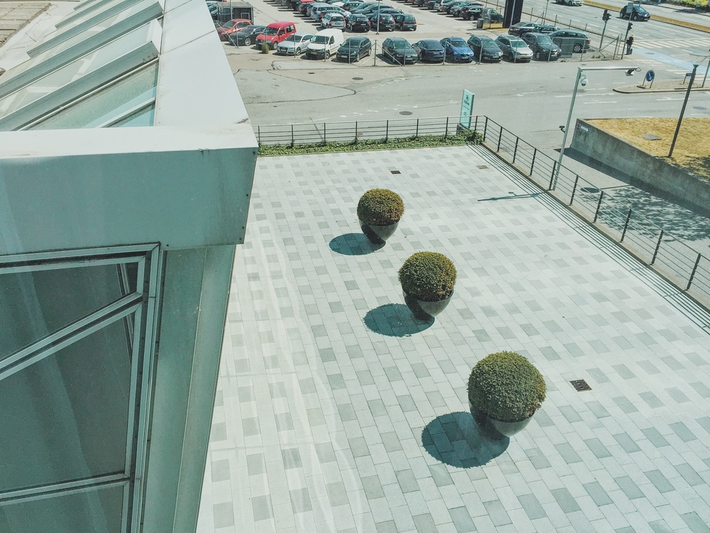 Intentionally unintended landscape