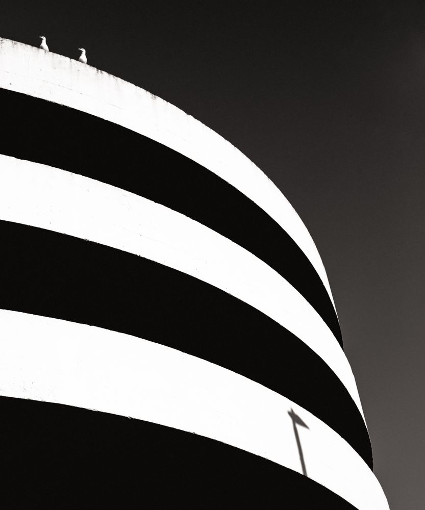 High Contrast 