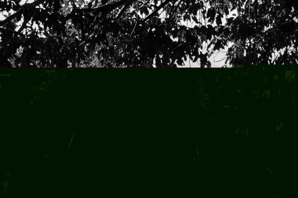 Encerrados: An Interview With Valerio Bispuri