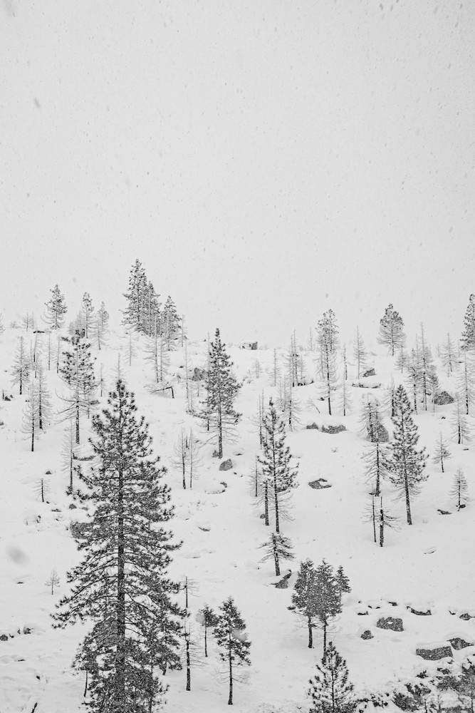 California winter