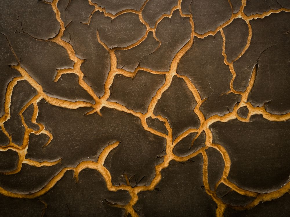 The Tentacles of Life