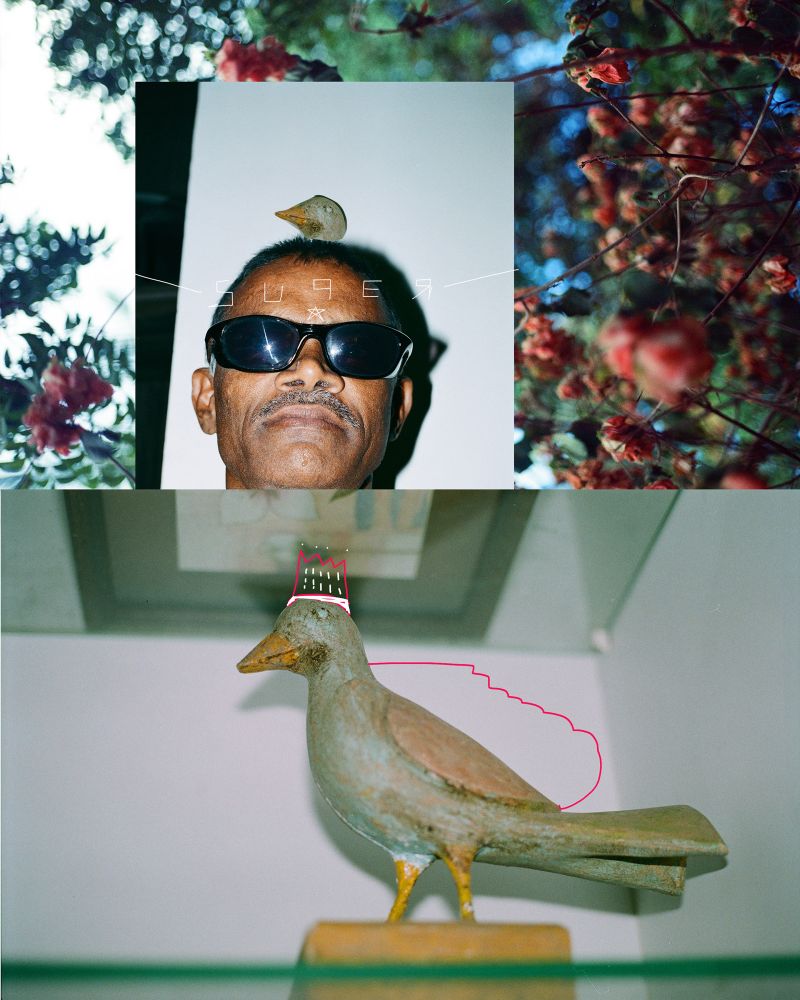 i took some pictures and made a photograph