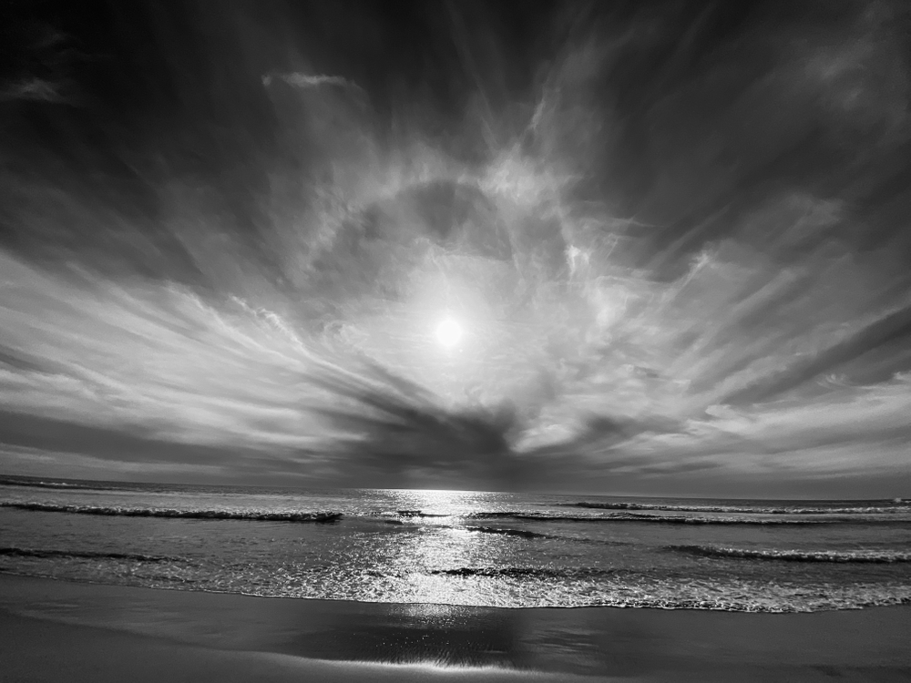 Untitled    "Black and White re visited"
