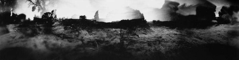 Your Land