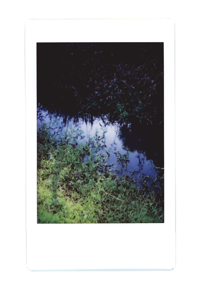 Waiatarua Wairepo Polaroids (2) - (Waiatarua Wetlands)