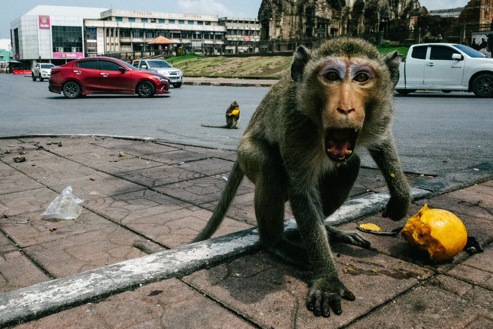Lopburi, Thailand