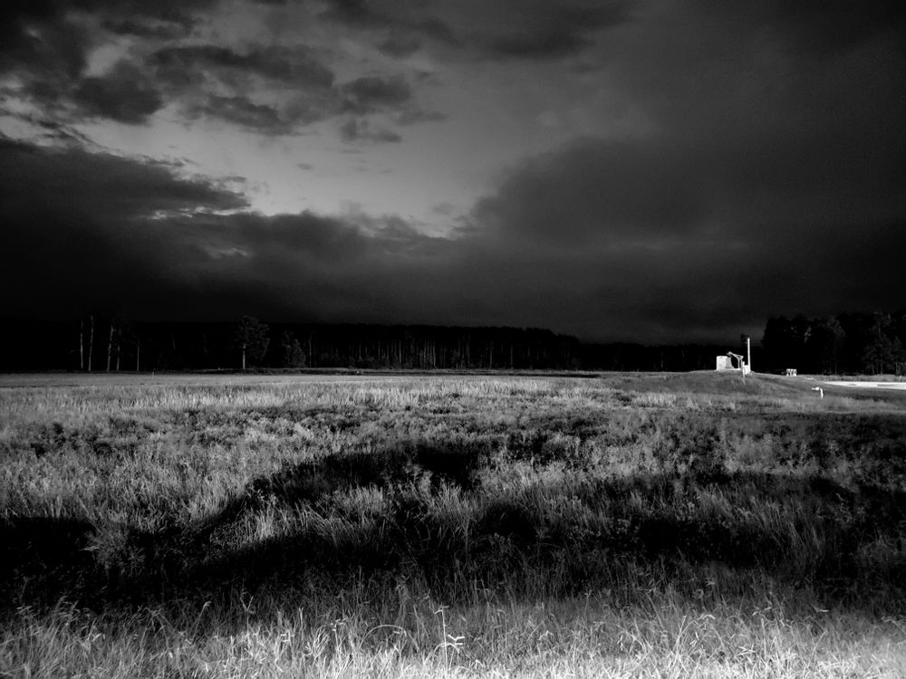 Bee Smith Photography