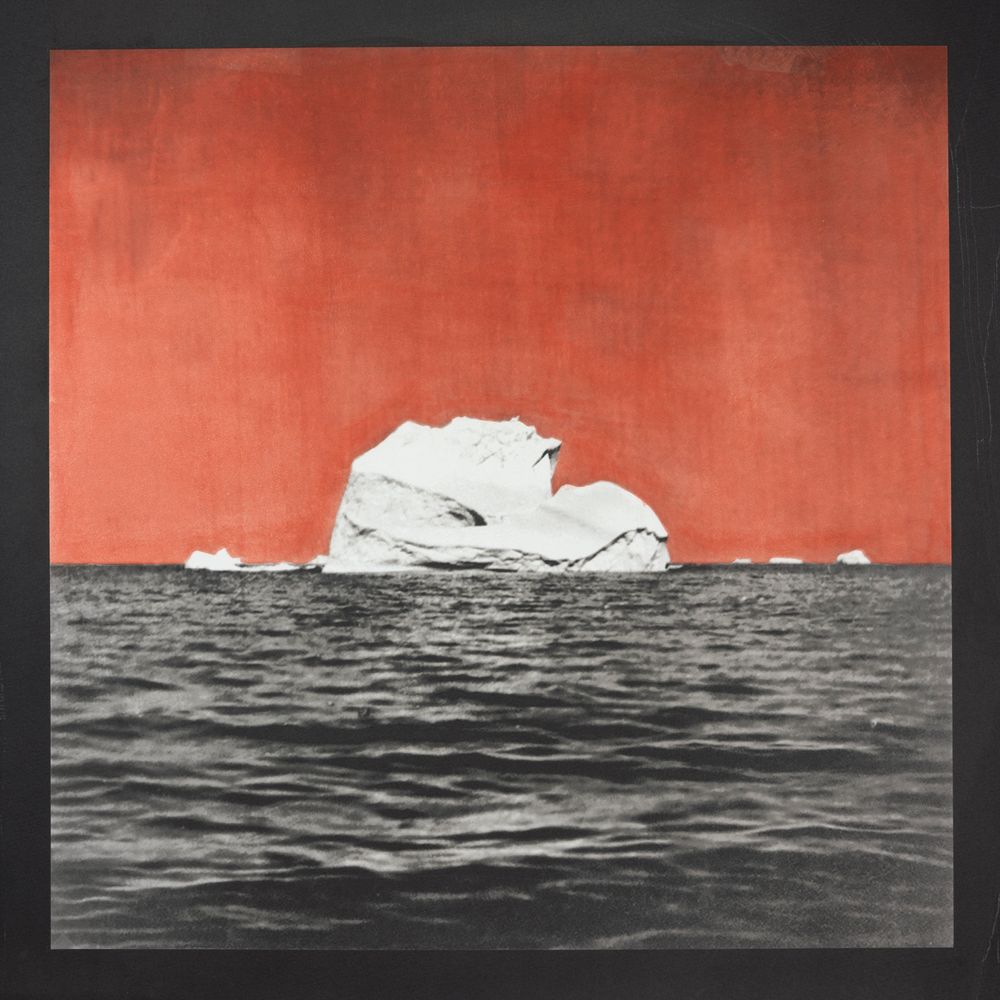 Arctic Elege