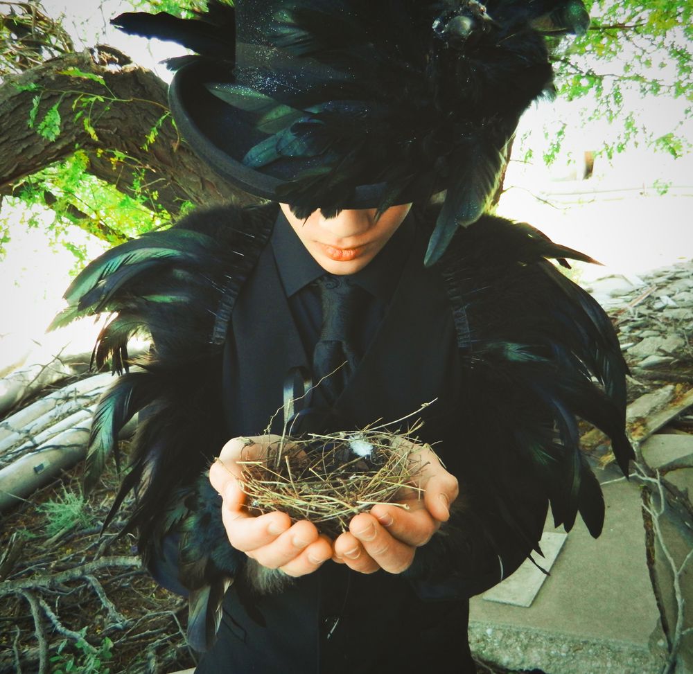 The Raven