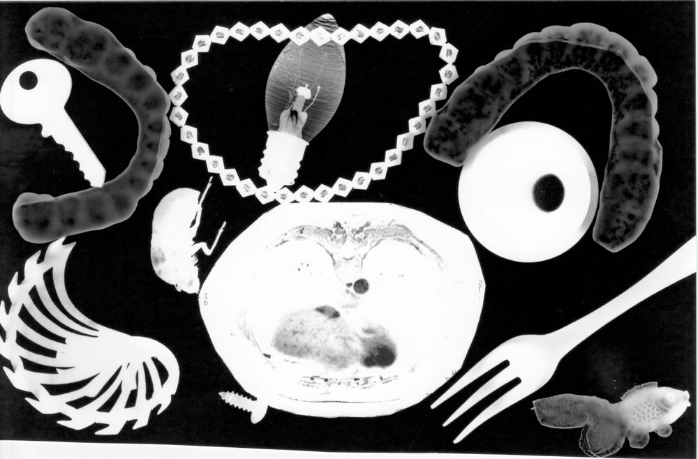 Photograms