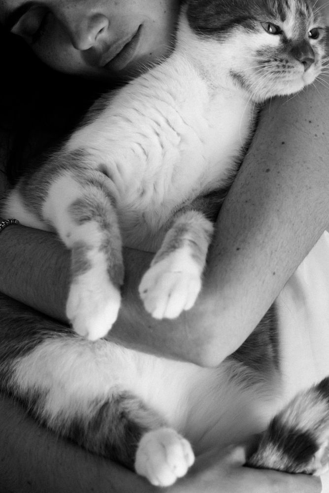 Unconditional Love