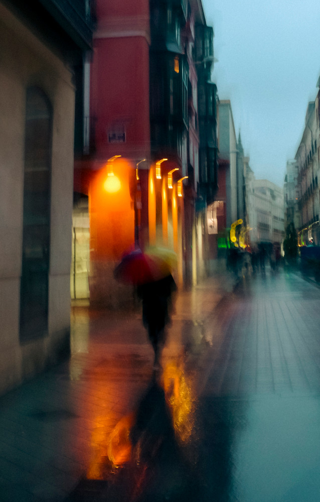 The poetry of the rain