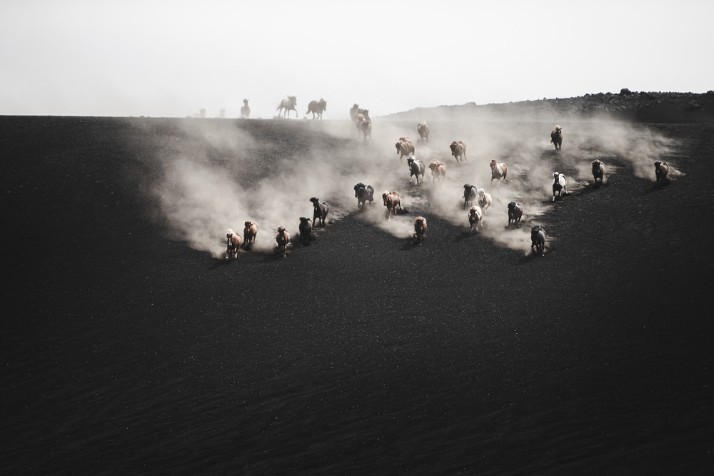 Black desert