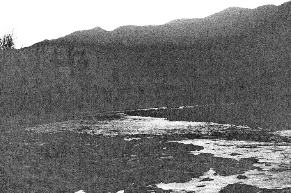 Loose Landscape